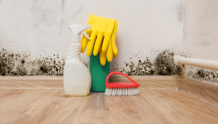 preparing to clean mould.jpg