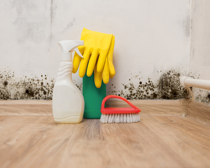 preparing to clean mould.jpg