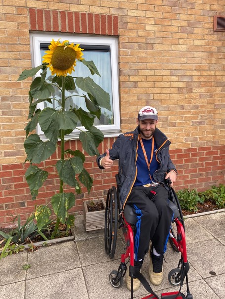 Daniel and Sunflower